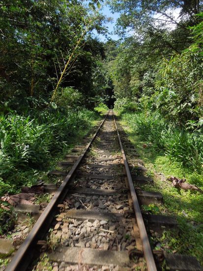Hier düsen wir lang - mitten durch den Dschungel - mit ohrenbetäubendem Lärm