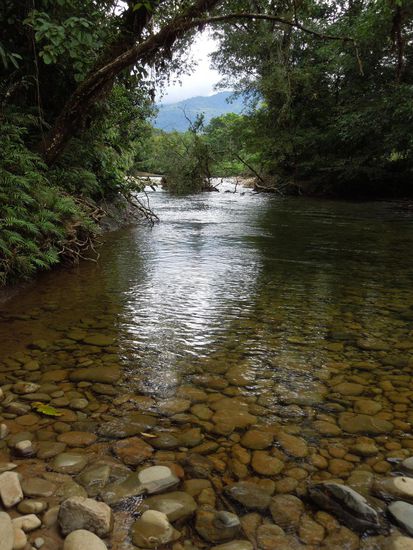 Unfassbar klares Wasser im Rìo Pepita