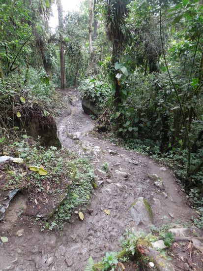 Ziemlich rutschig war's hier, keine Chance für Flip Flops.