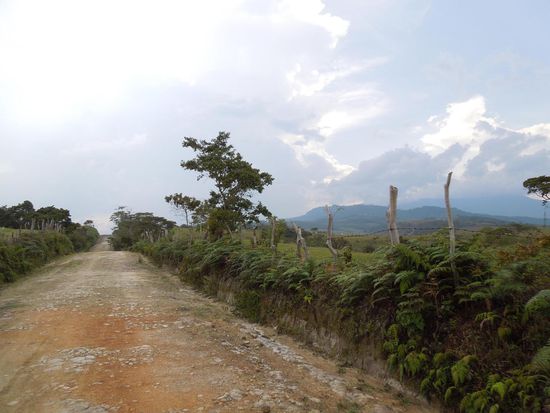 Wir bevorzugen Naturstrasse mit Aussicht 