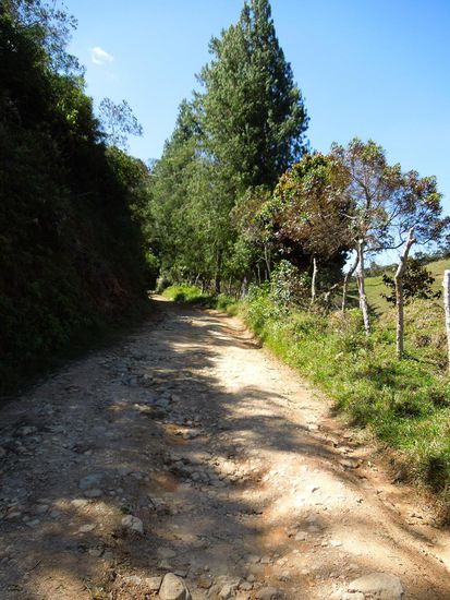 Über diesen Holperpfad erreichten wir das Ziel ...