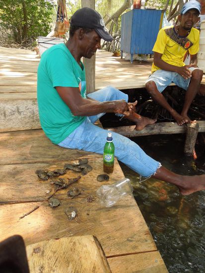 und als Mittags-Snack gab es dann ein paar frische Austern und Muscheln mit Knoblisauce.