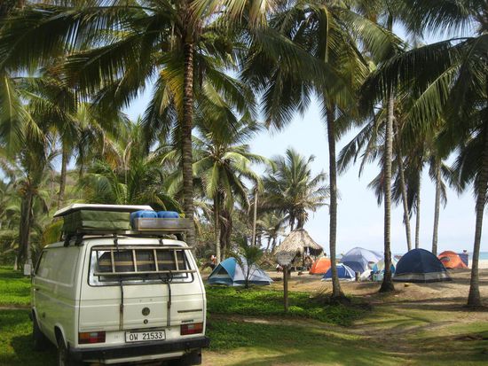 Lauschiger Platz unter Kokospalmen