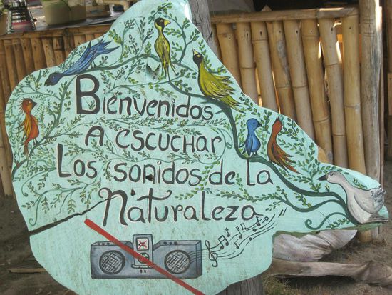 Das war eine echte Wohltat ... keine dröhnende Mucke sondern Meeresrauschen 