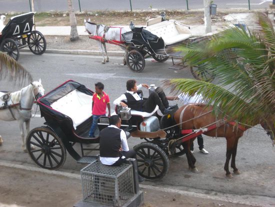 Wir mussten uns entscheiden Stadttour mit Kutsche..