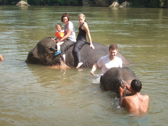 Baden mit den Elefanten