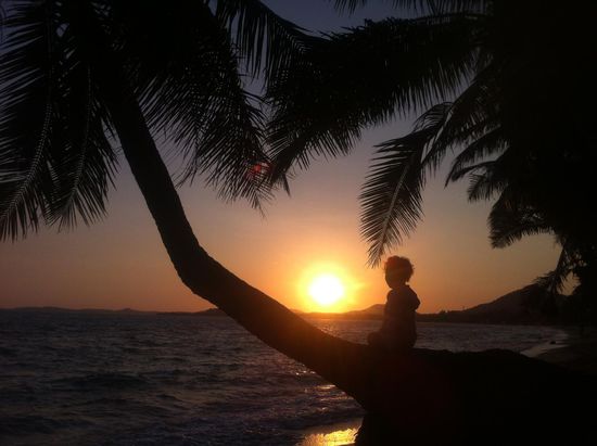 Unsere Lieblingspalme, auf der wir den Sonnenaufgang genießen.