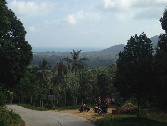 Die Strasse durch den Dschungel zurück. In den Dschungel kommt man jedoch nur mit Jeep.