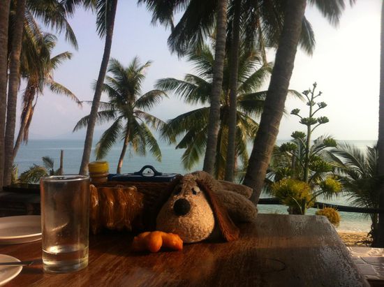 Frühstück hier oder