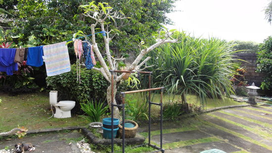 Owains Garten