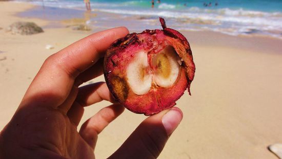 leckere unbekannte Früchte
