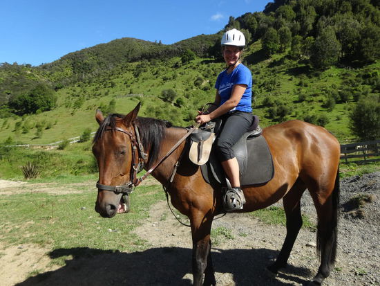 Brooks kannte den Weg auswendig und führte mich mit viel Energie durch die wunderschöne Gegend.