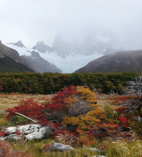 Die Aussicht auf das Ziel, den Fitz Roy, hält sich doch sehr bedeckt. Der Herbst im argentinischen Teil Patagonien zeigt sich dafür von seiner schönsten und farbenprächtigen Seite! Der Weg ist das Ziel!