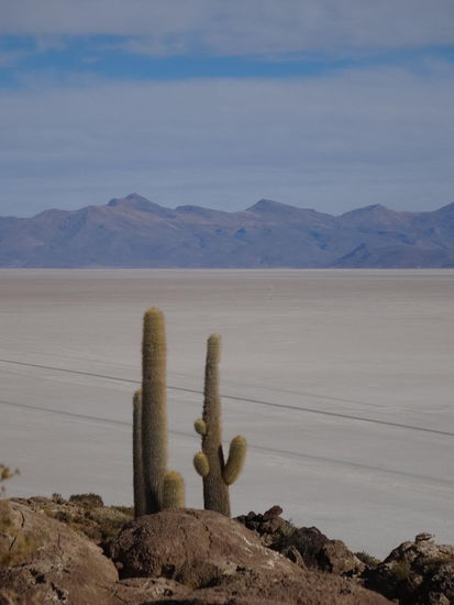 Berge und Salz und eine Insel mit über 6000 Kakteen (Island de ???). Die Salzwüste ist uralt und war mal ein Meer!