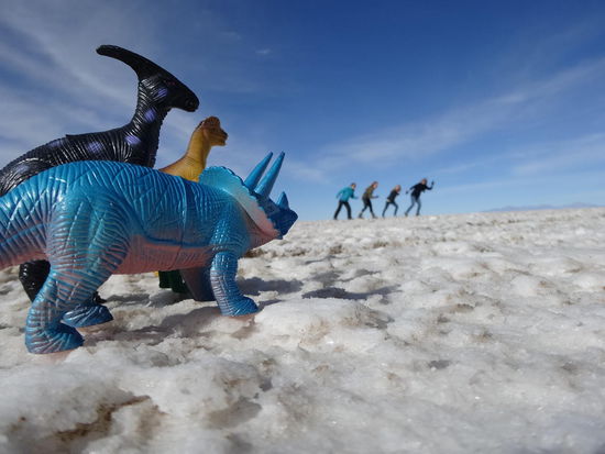Wir fühlen uns beobachtet. Sind wir etwa doch nicht allein hier? Besser schnell weiter nach Uyuni!