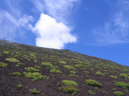 Ein Blick hoch zur Spitze