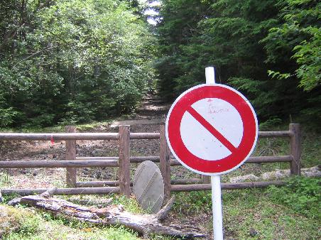 So sah es hinter dem Schild aus. Vielleicht sollte man das Schild nicht nur am Ende, sondern auch am Anfang des Weges aufstellen? (nur so als Verbesserungsvorschlag)...