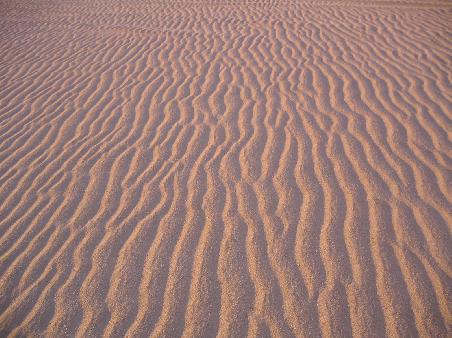 in der wueste