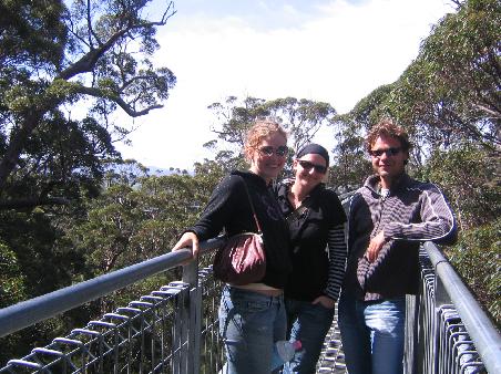tree top walk