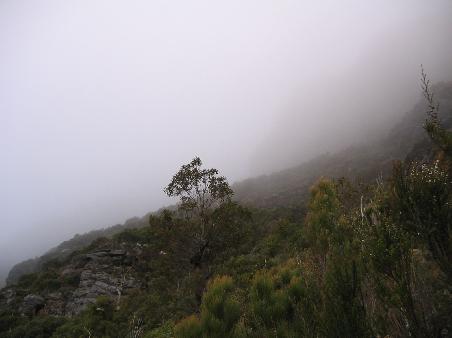 auf mount knoll. wir stehen in den wolken.