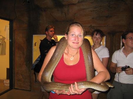 eine python als halsschmuck.
