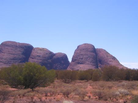 the olgas