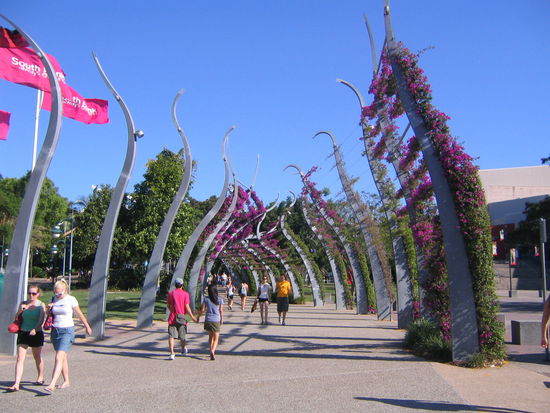 in brisbane herrscht blumiger sommer