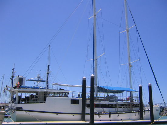 das schiff (the clipper)