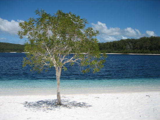 nein, es ist keine fotomontage. am lake mackenzie ist es tatsaechlich so schoen!