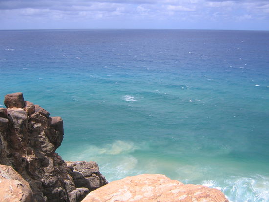 schwimmen darf man auf fraser island nicht im meer, denn es erwarten einen haie, giftige quallen und co...
