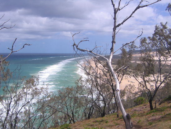 an der ostkueste von fraser island