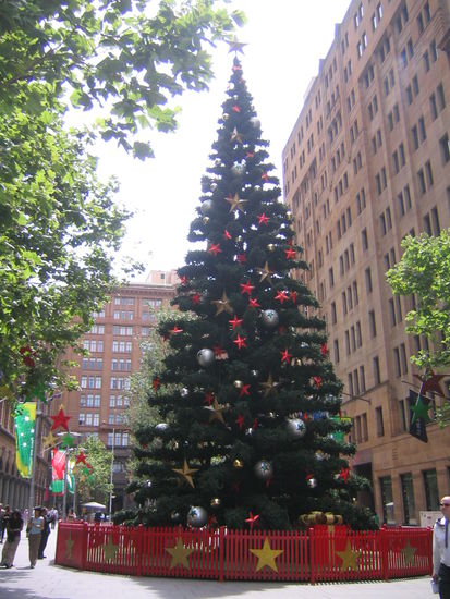 eine geschmueckte tanne im sommer mitten in sydney  wie schoen
