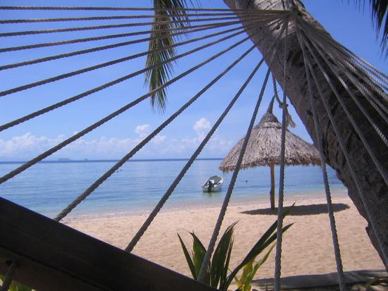 entspannte aussicht aus "meiner" haengematte