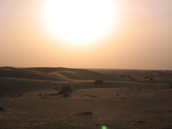 mitten in der wüste