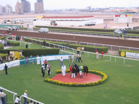 das siegerpferd wird preisgekrönt