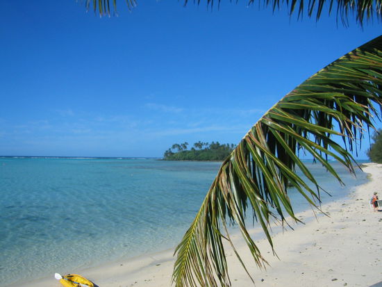 Im Paradies (auf Rarotonga, Cook Islands)