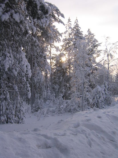 Ich laufe den Berg in Ounasvaara hoch und bin beeindruckt vom hohen Schnee und dem verschneiten Wald