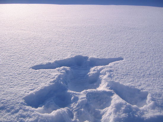 Es hat mich wieder überkommen (wie immer wenn ich im Schnee stehe)... Der Sprung in den Schnee musste sein...