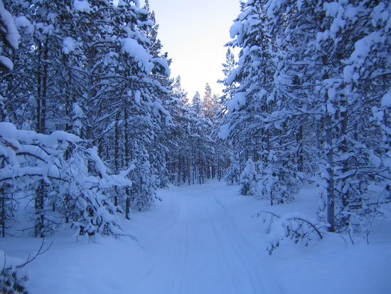 Schnee, Schnee, Schnee!