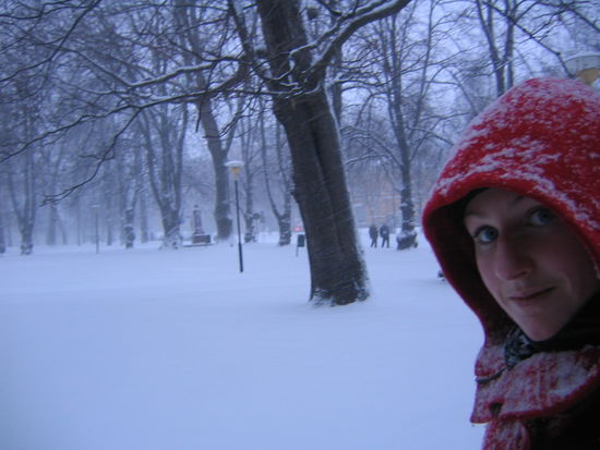 Frau Schneider unterwegs im Schneetreiben