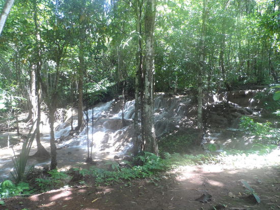 Die Natur am Phatat Wasserfall ist unberührt und es verirren sich nur wenige Wanderer hierher.