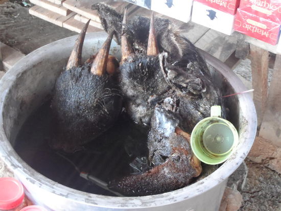 Auf dem kleinen Grenzmarkt gibt es auch ein Potenzmittel, dass aus diesem Kessel abgefüllt wird.