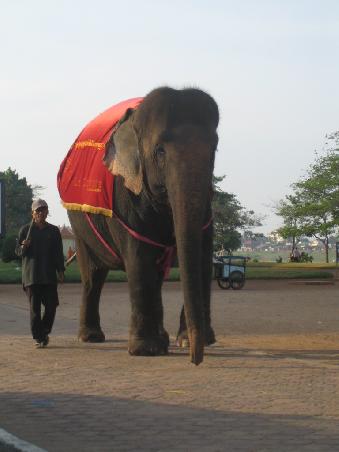 Gaengiges Bild auf den Strassen Phnom Penhs.