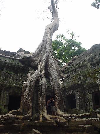 Durch die Uberwucherungen imposanter Urwaldriesen entsteht eine besonders mystische Atmosphaere
*Dieser Tempel diente unter anderem als Filmkulisse fuer Tomb Raider*