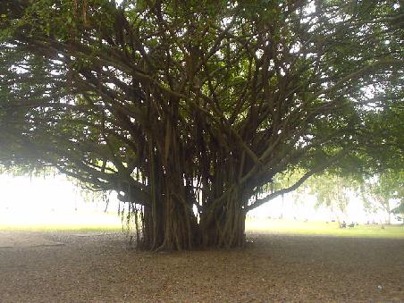 Port Douglas