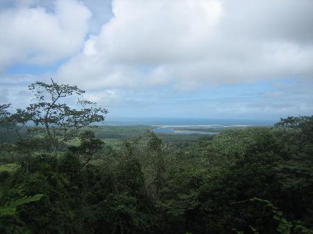 Cape Tribulation