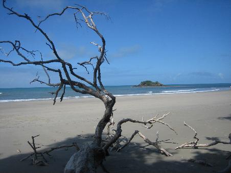 Cape Tribulation
