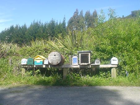 Uebliches Bild entlang den Strassen von NZ. Briefkaesten der "gesamten" Gemeinde.