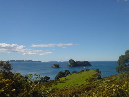 Aussicht vom Walk zu den "Cathedral Coves".