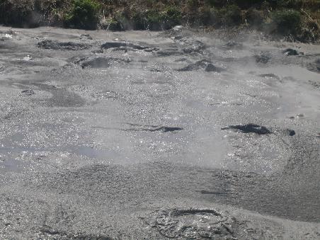 Mudholes bei Rotorua.